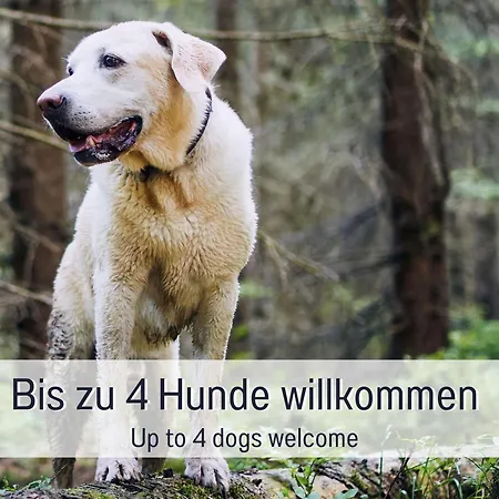 Fronwald: Sauna | Whirlpool | Kamin | Eingezaeunt